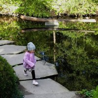 Тропа чудес :: Владимир Манкер