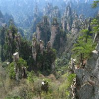 Национальный парк Чжанцзяцзе (Горы Аватара) в Китае. :: unix (Илья Утропов)