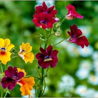 Про август... :: Aquarius - Сергей Про август... :: Aquarius - Сергей