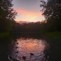 Закат :: Сапсан 