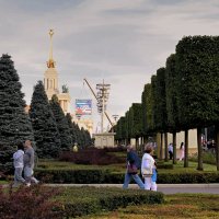 Фигурные деревья на ВДНХ. :: Татьяна Помогалова