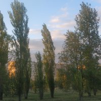 Тополя :: Андрей Хлопонин