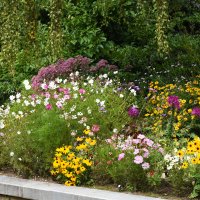 Москва. Август в Аптекарском огороде. :: Наташа ***** Москва. Август в Аптекарском огороде. :: Наташа *****