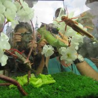 фотосессия :: ИРЭН@ .