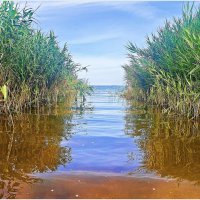 На Калининградском заливе. :: Валерия Комова