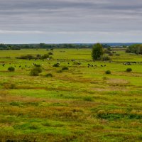 Начало Осени :: Игорь Сикорский