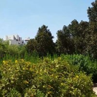 113 (121) :: CLOSE WAYS ALL