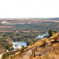 "-" :: Светлана Фокша