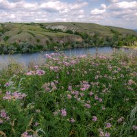 Летний день :: Наталья Димова