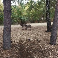 Talgar. :: Murat Bukaev 