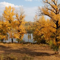 Осень золотая :: MILAV V