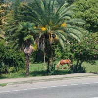 В парке :: Ирэн 