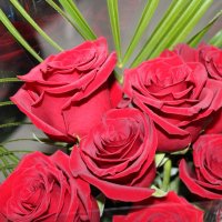 ПРАЗДНИЧНЫЙ БУКЕТ :: СЕРГЕЙ ФИЛОЧКИН ПРАЗДНИЧНЫЙ БУКЕТ :: СЕРГЕЙ ФИЛОЧКИН