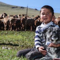 Маленький чабан и его верный друг :: Алтынбек Картабай 