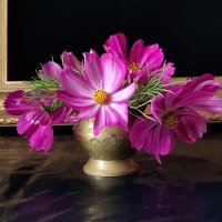 Космеи букетик :: Валентина Богатко 