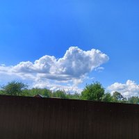 в полете :: Владимир 