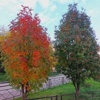 Две сестрички.. :: Василий 