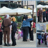 Разноцветные :: Татьяна Машошина Разноцветные :: Татьяна Машошина