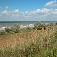 Ветреный день. :: Наталья Лунева Ветреный день. :: Наталья Лунева