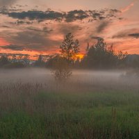 Вечерний туман :: Александр Филатов