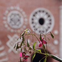 18 сентября в Царицыне :: Михаил Бибичков