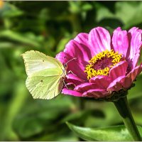 Бабье лето :: Aquarius - Сергей