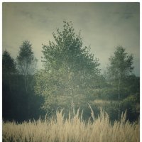 *** :: someone somewere