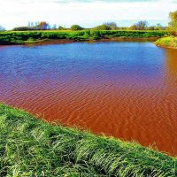 Покраснела вода в протоке Девкиной... :: Владимир 