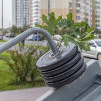 Спортивный натюрморт :: Валерий Иванович Спортивный натюрморт :: Валерий Иванович