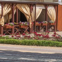 Летнее кафе :: Игорь Сикорский