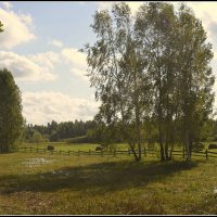 *** :: Aleksandr Gal