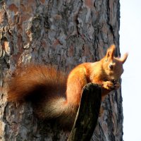 А вы уже позавтракали? Или сперва интернет, потом туалет? :: Егор Бабанов