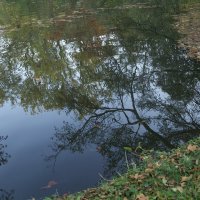 Отражение. :: Lucy Schneider Отражение. :: Lucy Schneider