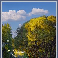 Осень пошла по улице :: Владимир Кроливец