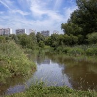 Река Сходня :: Aleksey Afonin