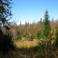 Сентябрьский день :: Галина Ильясова Сентябрьский день :: Галина Ильясова