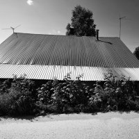 ... :: Денис Безногов ... :: Денис Безногов