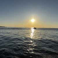 Рассвет :: Александр Морозов Рассвет :: Александр Морозов