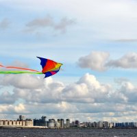 Змей :: AleksSPb Лесниченко