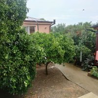 В Новом Афоне :: Ирэн 