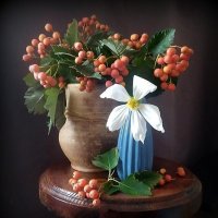 НАСТРОЕНИЕ.... :: TAMARA КАДАНОВА