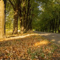 Осень :: валерий 