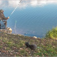 Диалоги о рыбалке :: Aquarius - Сергей