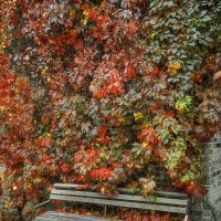 *** :: Oleg Rastorguev