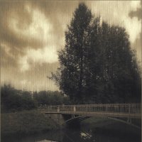 My magic Petersburg_04045 В Таврическом саду Xiaomi Redmi Note 9 Pro :: Станислав Лебединский My magic Petersburg_04045 В Таврическом саду Xiaomi Redmi Note 9 Pro :: Станислав Лебединский