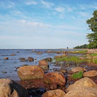 Финский залив. :: VasiLina *