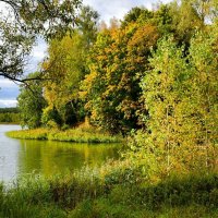 Осень вступает в свои права (репортаж из поездки по области). :: Милешкин Владимир Алексеевич Осень вступает в свои права (репортаж из поездки по области). :: Милешкин Владимир Алексеевич