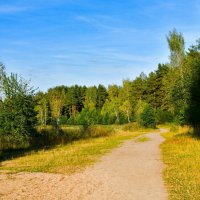 Смоленская осень. :: Милешкин Владимир Алексеевич Смоленская осень. :: Милешкин Владимир Алексеевич