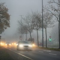 В туман :: Андроник Александр 