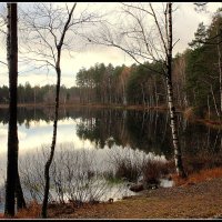 *** :: Aleksandr Gal